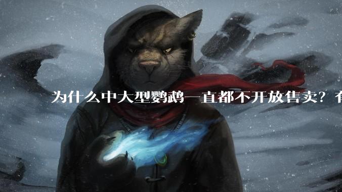 为什么中大型鹦鹉一直都不开放售卖？有哪些原因呢?